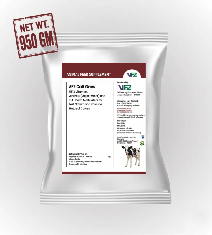 VF2 Calf Grow, calf growth supplement