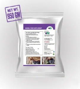 VF2 POST CALVING SOLUTION