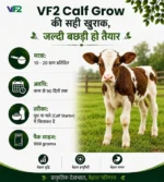 VF2 Calf grow dosage