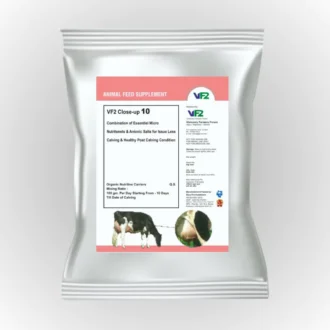 vf2-closeup