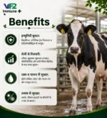 VF2 Immune Benefits