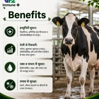 VF2 Immune Benefits
