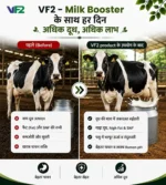 VF2 milk booster benefits