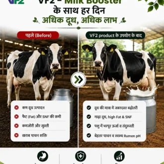 VF2 milk booster benefits