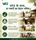 Vf2 goat weight gainer benefits