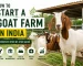 How to start a goat farm