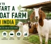 How to start a goat farm