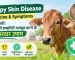 Lumpy Skin Disease_ Hindi Veterinary Guide