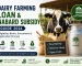 dairy farm loans nabard subsidy
