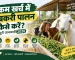 कम खर्च में बकरी पालन कैसे करें