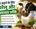दूध बढ़ाने के लिए घरेलू और असरदार तरीके